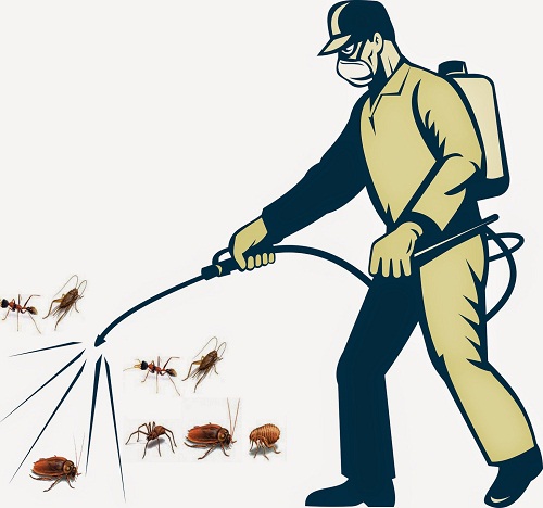 Bảng báo giá diệt côn trùng tại quận 11 của Công ty DTTT